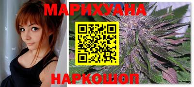 сатива Новокубанск