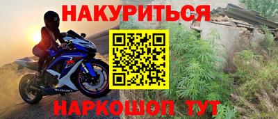 сатива Новокубанск