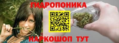 герыч Новодвинск