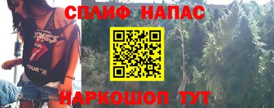 стаф Новозыбков