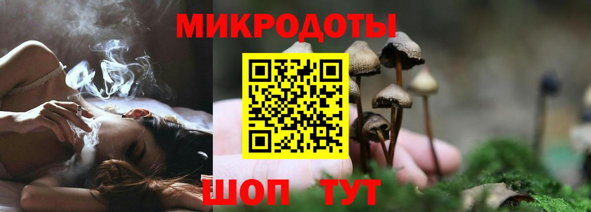 Галлюциногенные грибы ЛСД  Вход с VPN  Георгиевск  Псилоцибиновые грибы мицелий 